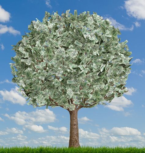 Creative Money Gifts, Business Funding, Gold Money, Money Tree, Show Me The Money, Money Magnet, Money Trees, Beautiful Tree, Financial Freedom