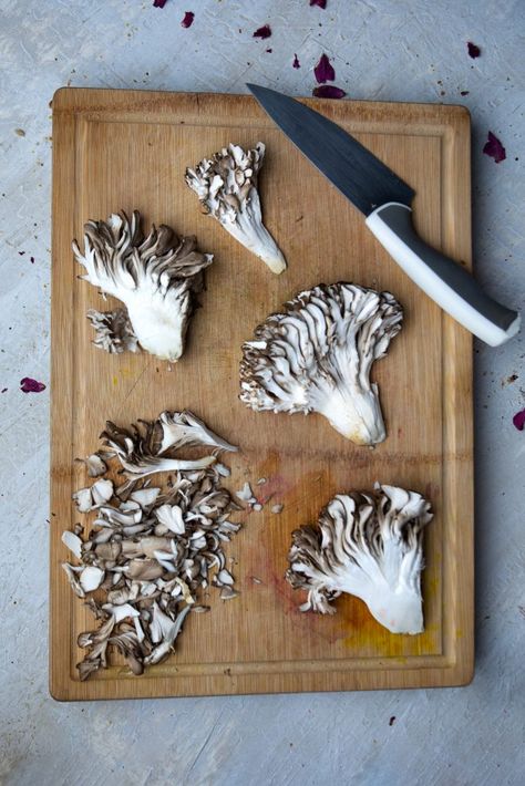 Hen Of The Woods Recipe, Hen Of The Woods, Lobster Mushroom, Natural Grocers, Truffle Salt, Kentucky Fried, How To Cook Mushrooms, Flax Egg, Edible Mushrooms