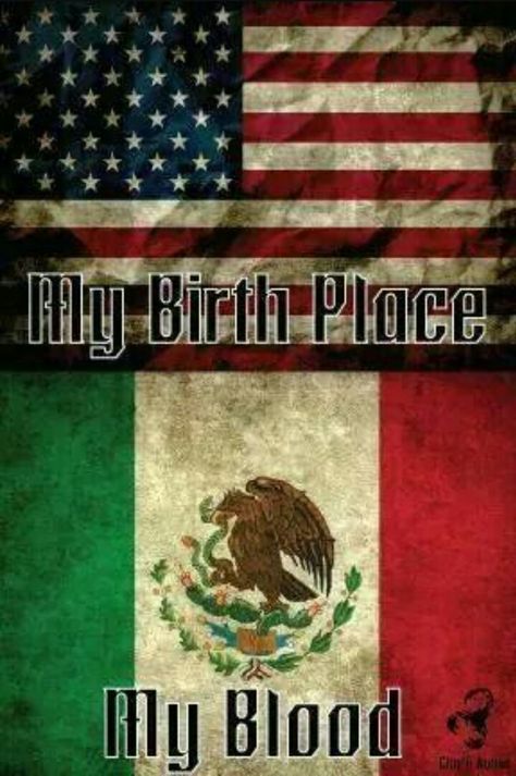 I can relate to this because I'm from the United States of America and my blood is Latin American Funny Mexican Pictures, Mexican American Flag, Mexican American Culture, Mexico Wallpaper, Hispanic Aesthetic, Funny Spanish Jokes, Mexican Memes, Mexican Culture Art, Mexico History