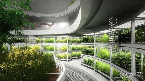 Life on Mars by Brian Versteeg | Solarpunk Aesthetic Botany Lab, Spaceship Interior, Underground Bunker, Vertical Farming, Sci Fi Environment, Futuristic Interior, Green Architecture, Hydroponic Gardening, Futuristic City