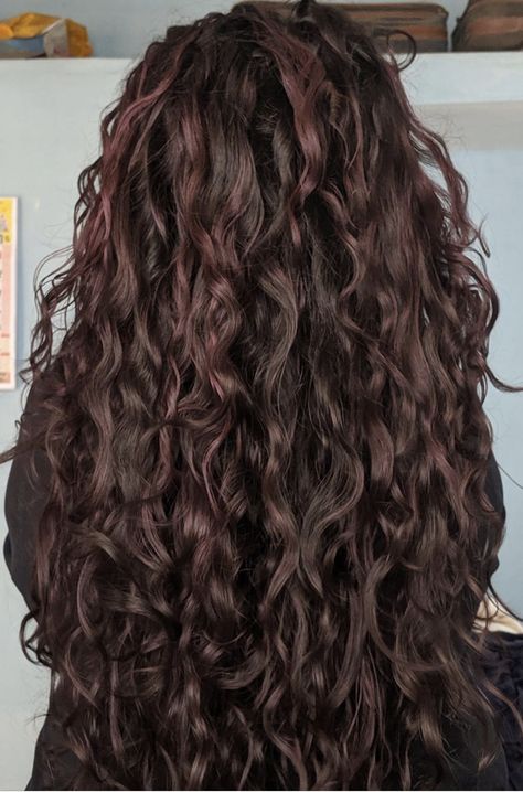 Hair Inspo Color Brunettes Curly, Cherry Brunette, Brunette Shades, Long Thick Curly Hair, Curly Color, Natural Curly Hair Cuts, Curly Hair Care Routine, Highlights Curly Hair, Wine Hair