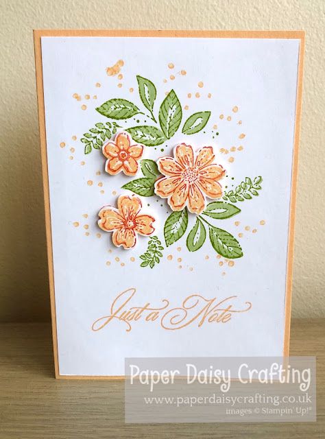 Stampin Up Hello Cards, Su Petal Park Cards, Regency Park Stampin Up Cards, Petal Park, Stampin Up Petal Park Cards, Stampin Up Petal Park, Sentimental Park Stampin Up Cards, Petal Park Stampin Up Cards, Stampin Up 2023