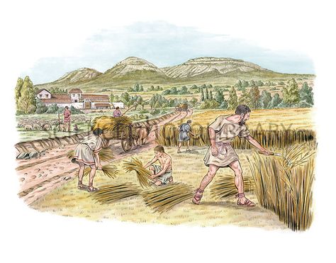 Ancient Agriculture, Agriculture Pictures, Ancient Roman Houses, Farming Land, Culture Artwork, Rustic Architecture, Historical Illustration, History Project, Science Photos