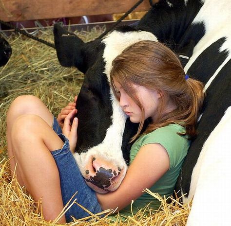 Damn it...the next steak I eat just won't taste as good as it normally does after seeing this! A Cow, A Barn, Sweet Animals, The Head, Big Dogs, 귀여운 동물, Country Life, Animals Friends, Farm Life