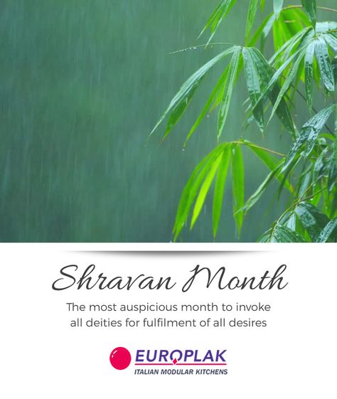 Europlak India Wishing You All A Happy Month of Shravan! #EuroplakIndia #HappyShravan Shravan Month Quotes, Shravan Month Wishes, Shravan Month, Month Quotes, Instagram Story, Plant Leaves, Herbs, India, Illustrations