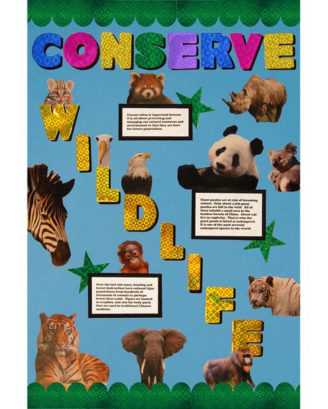 Make a Conserve Wildlife Poster | School Project Poster Ideas Wild Life Conservation Poster, Wildlife Project Cover Page Ideas, Poster On Wildlife Conservation, School Project Poster Ideas, Save Wildlife Poster Ideas, Wildlife Conservation Poster, World Conservation Day, School Project Poster, Project Poster Ideas