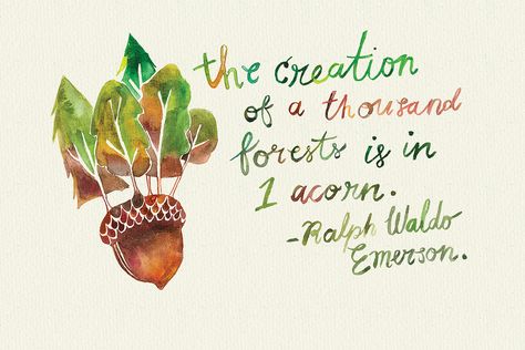 "The creation of a thousand forests is in one acorn." Ralph Waldo Emerson Jam Gift, Wood Badge, Watercolor Quote, Social Emotional Development, Free Printable Art, Forest School, Creativity Quotes, Ralph Waldo Emerson, Tree Illustration