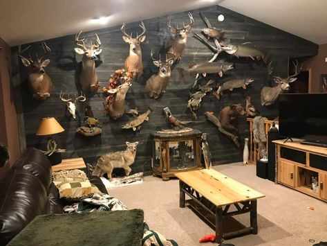 Taxidermy Room Man Caves, Hunting Mounts Living Room, Man Cave Deer Mounts, Man Cave With Deer Mounts, Hunting Trophy Room, Deer Trophy Room, Hunting Rooms, Western Ranch Home Decor, Trophy Rooms Hunting