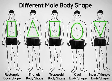 Body Type Male, Learning Anatomy, Mens Body Types, Male Body Shapes, Bowflex Workout, Body Type Quiz, Men Drawing, Glasses For Face Shape, Dress For Your Body Type