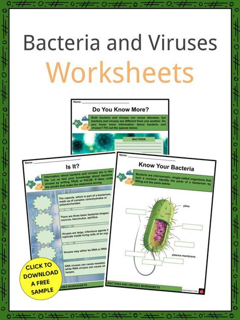 This is a fantastic bundle which includes everything you need to know about the bacteria and viruses across 28 in-depth pages. These are ready-to-use Bacteria and Viruses worksheets that are perfect for teaching students about the bacteria and viruses which can cause mild to serious infections, but they are different from one another. Bacterial infections and viral infections must also be treated differently. Human Body Worksheets, Cells Worksheet, Bacterial Diseases, Data Table, Homeschool Worksheets, Computer Virus, Infection Control, Teaching Students, Teacher Worksheets