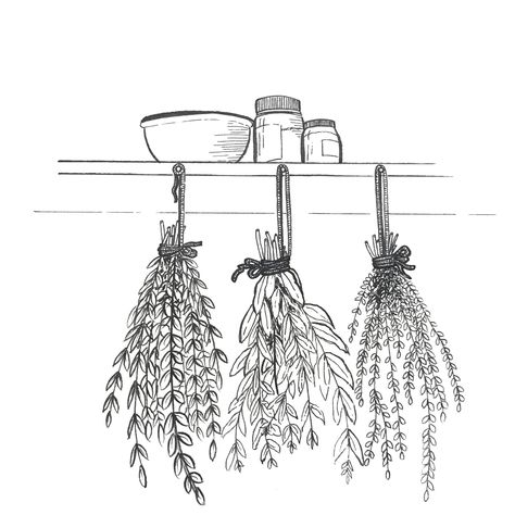 Hanging Herbs Art, Hanging Herbs Drawing, Dried Herbs Tattoo, Herb Coloring Pages, How To Draw Herbs, Bundle Of Herbs Tattoo, Herbs Drawing Simple, Herb Garden Drawing, Witch Herbs Drawing