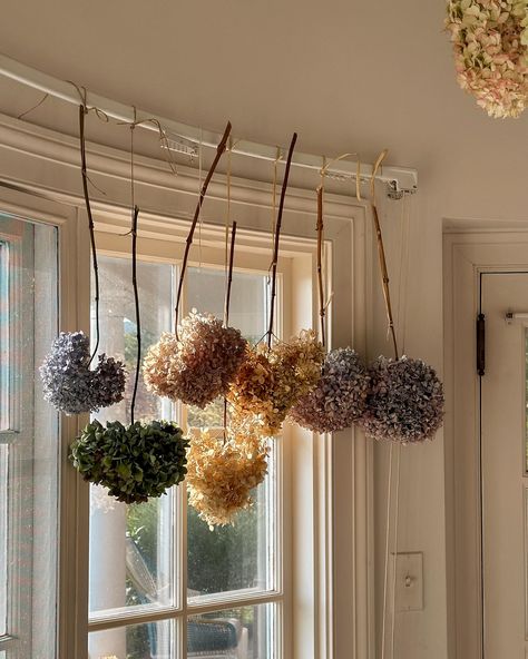 Hi there, from the crazy hydrangea lady! These blooms are drying so nicely (except a few of the blue ones- I harvested them too early). The ones in the window have actually been hanging there since last fall (I just loved them in the stark winter months and never took them down). So take this as your reminder to dry some hydrangeas, if you can, for real flowers in your home year round! #fridaysareforphotos Dried Hydrangeas Decor Ideas, Dried Hydrangeas, Pumpkin Picking, Dry Leaf, Warm Blankets, The Crazy, Scary Movies, Winter Months, Hi There