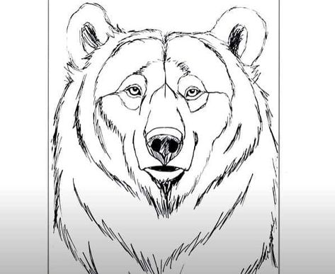 How To Draw A Bear Face, Bear Eyes Drawing, Easy Animals To Draw, Drawing Library, Draw A Bear, Bear Park, Bear Face Drawing, Animals To Draw, Draw Cartoon Characters