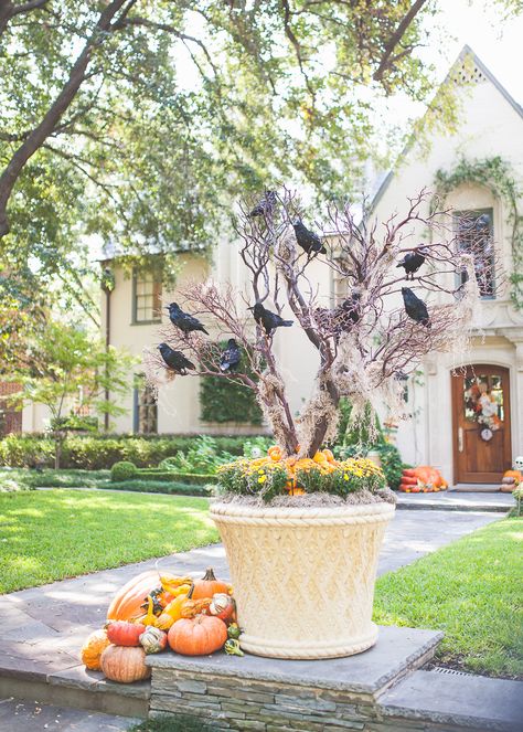 Beet Plant, Door Decor Ideas, Halloween Door Decor, Fall Container Gardens, Halloween Entertaining, Fall Containers, Pumpkin Display, Halloween Table Decorations, Fall Planters