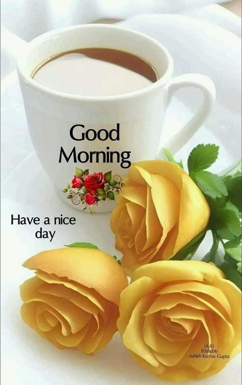 Good Morning Wishes Friends, Good Morning Image, Good Morning Roses, Good Morning Animation, Good Morning Beautiful Pictures, Happy Friendship Day, Good Night Wishes, Morning Everyone, Night Wishes