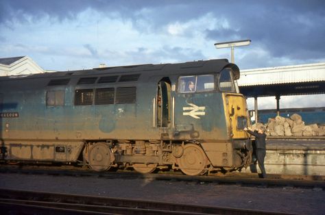 BT24. D1034 Western Dragoon at Temple Meads. Autumn 1973? | Flickr Train Room, British Railways, Western Region, British Rail, Old Trains, Electric Locomotive, Learning Graphic Design, Great Western, Train Pictures