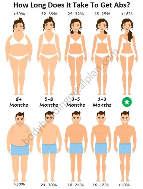 How Long To Get 4 Pack Abs Abdominal Muscles Anatomy, Body Fat Percentage Calculator, Get Abs Fast, Men Vs Women, Get Shredded, Abs Women, Body Fat Percentage, Best Ab Workout, Lower Abs