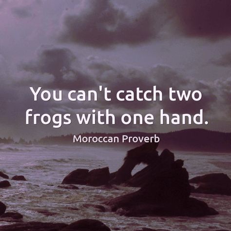 You can't catch two frogs with one hand. Moroccan proverb. Facts Of Life Quotes, Funny Proverbs, Ancient Proverbs, Google Funny, Sunday Sermons, Afternoon Quotes, Some Jokes, Motivational Sayings, Proverbs Quotes