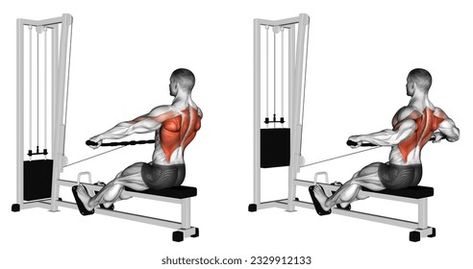 Seated Cable Row, Lat Workout, Seated Row, Traps Workout, Upper Back Muscles, T Bar Row, Cable Workout, Barbell Row, Cable Row