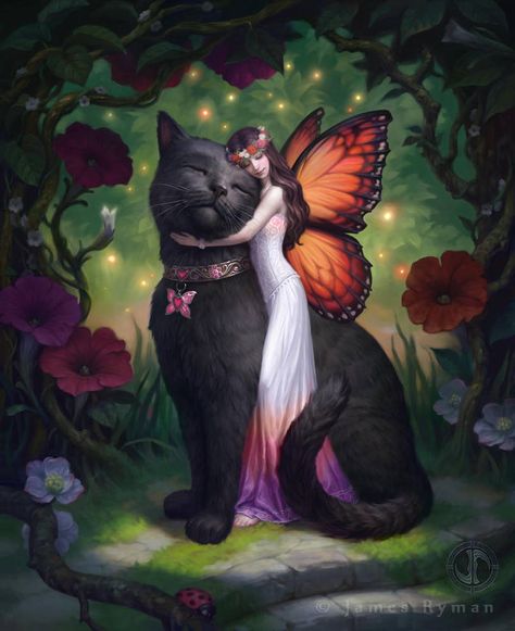 Creature Fantasy, Fairy Pictures, Image Chat, Fairy Friends, Black Cat Art, Soyut Sanat Tabloları, Butterfly Fairy, Arte Animal, Arte Fantasy