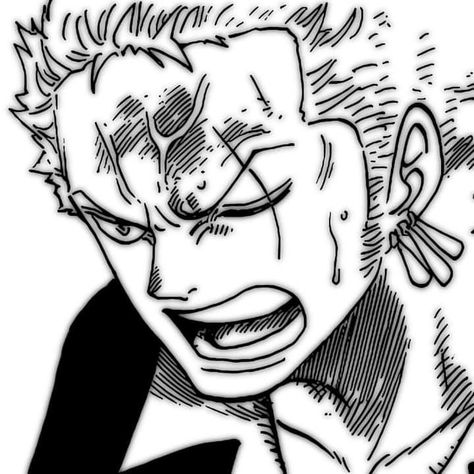 Zoro Black And White Icon, One Piece Widget Black And White, Zoro One Piece Black And White, Zoro One Piece Icon Manga, Roronoa Zoro Manga Panel, Roronoa Zoro Icon Manga, Roronoa Zoro Black And White, Zoro Manga Pfp, Ronoroa Zoro Manga