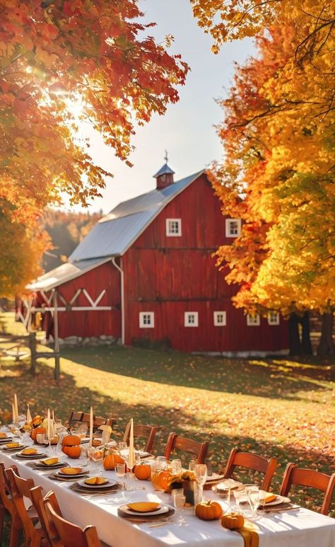 How to Host a Fantastic Fall Garden Gathering Thanksgiving Outdoor Dinner Table, Outdoor Thanksgiving Dinner Party Ideas, Outdoor Thanksgiving Table, Harvest Dinner Party, Outdoor Dinner Table, Garden Gathering, Dinner Fall, Outdoor Thanksgiving, Autumn Farmhouse