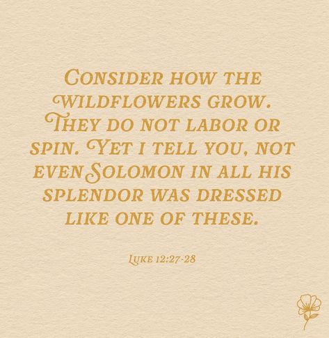 “Consider how the wild flowers grow. They do not labor or spin. Yet I tell you, not even Solomon in all his splendor was dressed like one of these. If that is how God clothes the grass of the field, which is here today, and tomorrow is thrown into the fire, how much more will he clothe you—you of little faith!“ ‭‭Luke‬ ‭12‬:‭27‬-‭28‬ ‭NIV‬‬ We should consider the wildflowers because they remind us to trust our Heavenly Father to take care of us and provide for our everyday needs. We should... Luke 12:27-28, Consider How The Wildflowers Grow, Luke 12:27, Consider The Wildflowers, Wild Flower Quotes, Consider The Lilies, Luke 12 27, God Clothes, Christian Motivational Quotes