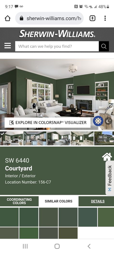 Sherwin Williams Paint Colors Green, Sherwin Williams Green, Sherman Williams, Office Guest Bedroom, Old Home Remodel, Paint Color Inspiration, Green Paint Colors, Sherwin Williams Paint Colors, Front Door Colors