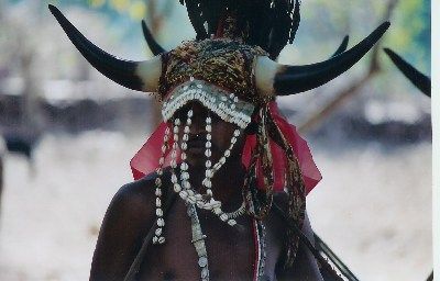 Bison horned headdress Tribes Of India, Horned Animals, Wasteland Weekend, Couture Design, Feather Headdress, Ends Of The Earth, Head Dress, Village Life, Indian Attire