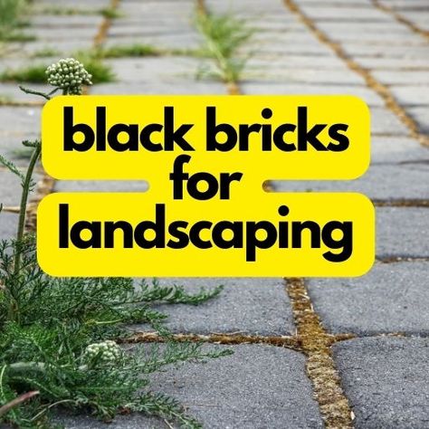 Best Black Bricks for Landscaping 2023: An Overview Painted Brick Patio, Bricks In Garden, Black Painted Brick, Colorful Landscaping, Refractory Brick, Types Of Bricks, Brick Projects, Brick Patio, Brick Walkway