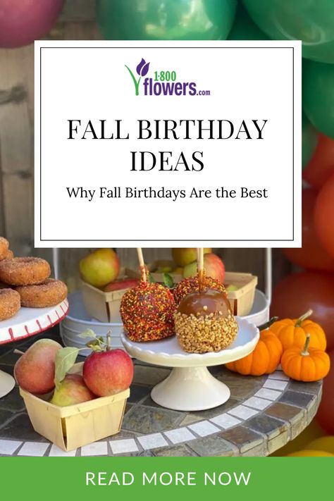 November Birthday Ideas, Autumn Birthday Theme, Fall Birthday Ideas, November Birthday Party Ideas, Fall Birthday Party Ideas, November Birthday Party, Autumn Birthday Party, Fall Birthday Party, Autumn Birthday