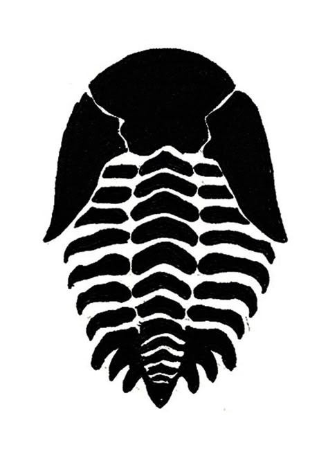 Trilobite Design by ewhauber Dino Fossil Tattoo, Trilobite Drawing, Trilobite Art, Fossil Sketch, Fossil Project, Trilobite Tattoo, Patch Stencils, Fossil Tattoo, Customizing Clothes