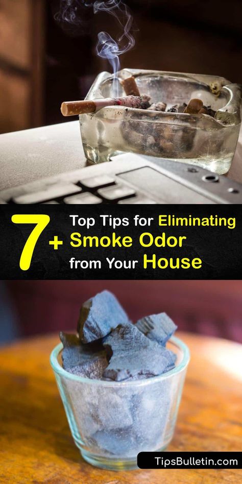 Smoking indoors affects the air quality of your home, and over time the cigarette smell settles in your furniture, clothes, and even on solid surfaces. Smoke particles in the air lead to discolored carpet and walls, but smoke odor removal is easy with home remedies. #remove #smoke #smell #house How To Make Your Walls Smell Good, Clean Smokers House, Cleaning Smokers House, Remove Odors From Home, Cleaning Purses, Odor Eliminator House, Odor Eliminator Diy, Homemade Scents, House Fragrance