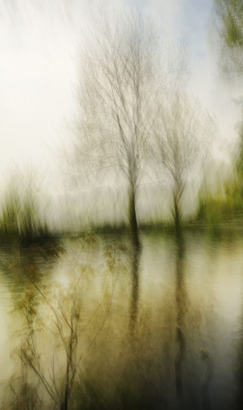 Master Intentional Camera Movement (ICM) for more creative landscapes | Amateur Photographer Impressionist Photography, Circle Photography, Movement Photography, Creative Landscape, Camera Movements, Unique Images, Multiple Exposure, Abstract Images, Landscape Trees