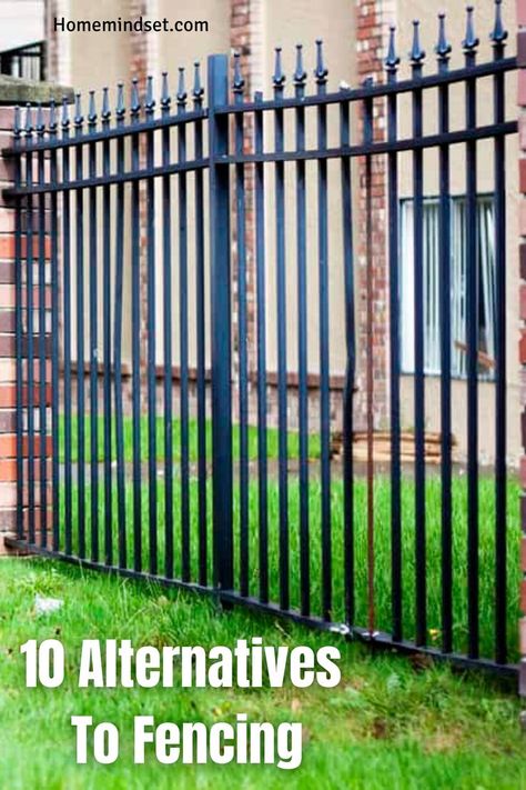 Want to know the alternatives to fencing? In this article, we'll give you the top 10 plus everything you need to know. Alternative Fencing Ideas, Renter Friendly Fencing, Cheapest Fence Ideas, Fence Alternatives, Free Standing Fence, Fences Alternative, Plastic Garden Fencing, Temporary Fencing, Portable Fence