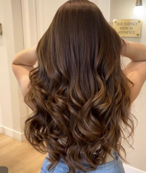 Loose Curls Long Hair Brunette, Curled Hair Styles For Long Hair, Curled Long Brown Hair, Loose Wavy Curls Medium Hair, Curled Hair Brown, Loose Curled Hair, Curled Brown Hair, Honey Brown Balayage, Wavy Brunette Hair