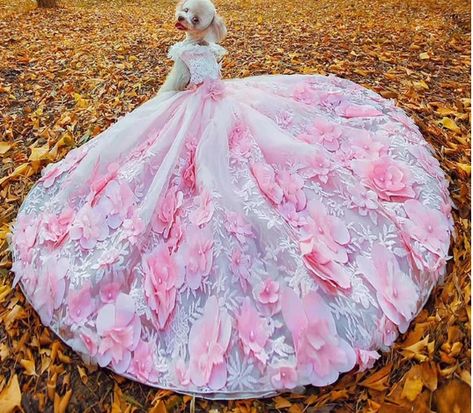 Dog Wedding Attire, Dog Wedding Dress, Stylish Gown, Really Cute Puppies, Princess Dog, Dog Clothes Patterns, Dog Ball, Dog Rooms, Kids Designer Dresses