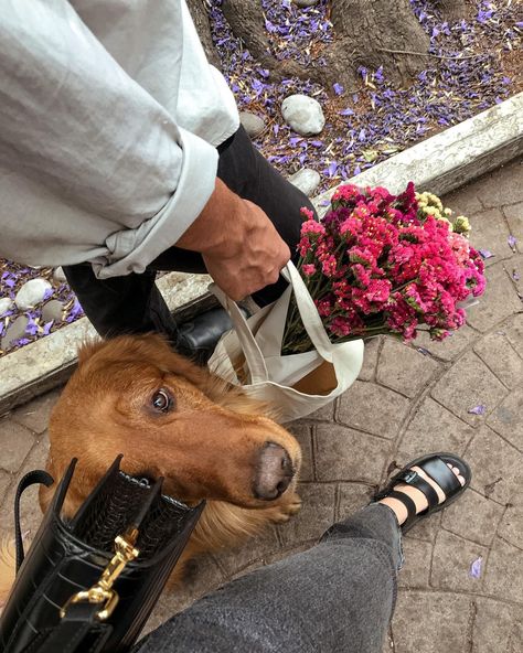 serg & tana on Instagram Condesa mexico city travel roma norte aesthetic parisian vibe golden retriever couples fashion Couple With Golden Retriever Aesthetic, Golden Retriever Mom Aesthetic, Couple Dog Aesthetic, Golden Retriever Girl Aesthetic, Couple With Golden Retriever, Couple Golden Retriever, Couple With Dog Aesthetic, Golden Retriever Aesthetic, Condesa Mexico City