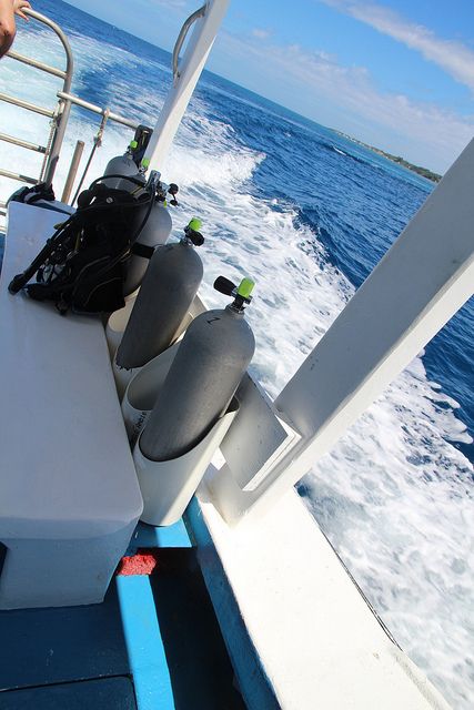 Live and let dive. scuba Dive Boat, Bubble Blowing, Jacques Yves Cousteau, Scuba Diving Photography, Diver Down, Diving Photography, Life Under The Sea, Scuba Gear, Sailing Trips