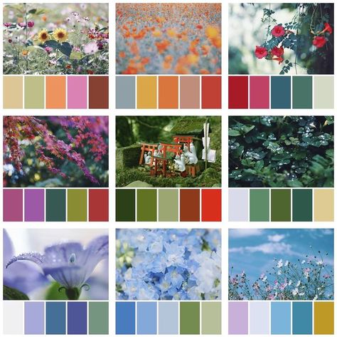 Color Palette From Image, Coral Colour Palette, Color Wheel Art, Color Inspiration Boards, Color Theory Art, Color Schemes Colour Palettes, Good Color Combinations, Color Vibe, Color Palette Bright