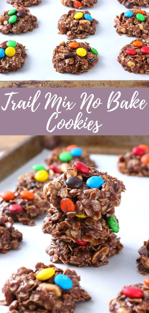 No Bake Trail Mix Recipes, No Bake Preacher Cookies, Healthy Trail Mix Cookies, Trail Mix Cookies Healthy, Vegan Trail Mix Cookies, No Bake Cookie Variations, Drop Cookies No Bake, Trail Mix Cookie, Trail Mix Breakfast Cookies