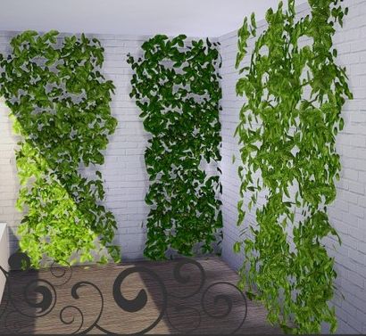 Really nice plant deco. Sims 4 Vines Decor, Sims 4 Potted Plants Cc, Wall Vines Sims 4 Cc, Sims 4 Cc Ivy Wall, Sims 4 Cc Maxis Match Outdoor Plants, Vines Cc Sims 4, Sims 4 Cc Vines Patreon, Sims 4 Grass Wall Cc, Sims 4 Climbing Plants