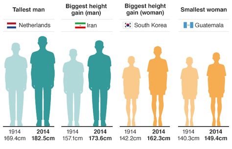 Infographic showing tallest man and smallest woman, and the nationalities which have shown biggest height gain Mens Routine, Average Height For Women, Dutch Men, Men Vitamins, Cloves Health Benefits, How To Get Tall, Diet For Men, Human Height, Email Attachment