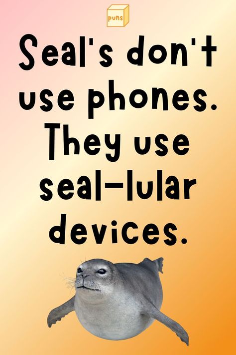 Seal Puns, Facts About Seals, Ocean Puns, Silly Seal Pictures, Seal In Water, Crabeater Seal, Forest Theme Classroom, Funny Seals, Beach Treats