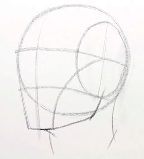 Character Head Template, Head Template Drawing, Facial Anatomy Drawing, Head Shape Drawing, Human Body Drawing, Pencil Drawings For Beginners, Head Drawing, Drawing Tutorial Face, Human Anatomy Drawing