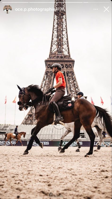 Longines Global Champions Tour in Paris Global Champions Tour, Bay Horse, Equestrian, Horses, Paris