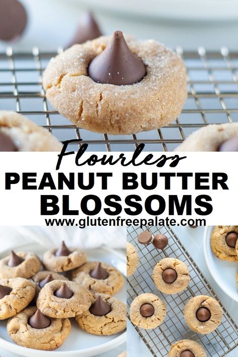 A super simple gluten free peanut butter blossoms recipe that is flourless and quick to bake. With only a few ingredients and a couple of quick steps you can have these gluten free peanut butter blossoms in the oven in no time. Peanut Butter Blossom Cookies Gluten Free, Almond Flour Peanut Butter Blossoms, Gluten Free Peanut Butter Blossoms, Rad Diet, Peanut Butter Blossoms Recipe, Gluten Free Valentines, Gf Snacks, Peanut Butter Blossom, Healthy Peanut Butter Cookies