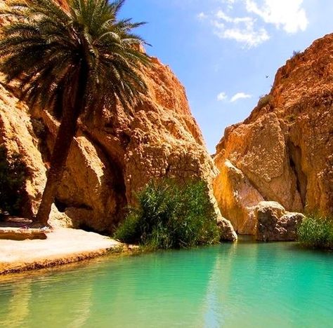 Morocco Paradise Valley Agadir, Agadir Morocco, Morocco Travel, Paradise Valley, Future Travel, Places Around The World, Casablanca, Wonderful Places, Travel Around The World