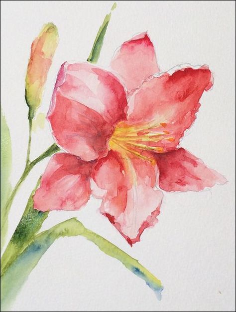 How to Paint Loose, Expressive Lilies in Watercolor Romantic Watercolor Painting, Normal Painting, Easy Pictures, Beginners Drawing, Beginners Painting, Paint Drawing, Watercolor Elements, Easy Canvas, Canvas Drawings