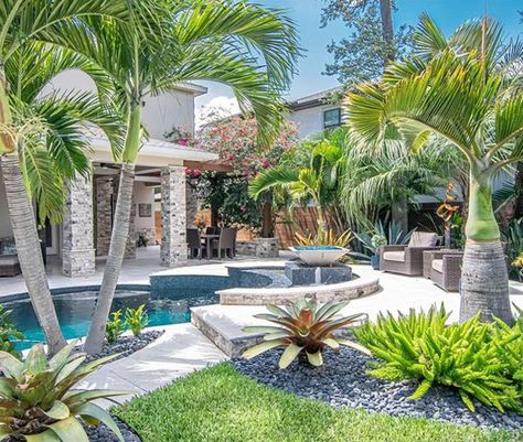 3 Ft Front Yard Fence Ideas, Palm Trees In Planters, Backyard Pool With Lanai, Houses With Palm Trees, Palm Tree Yard Ideas, Palm Trees Landscaping Front Yard, Landscape Around Palm Trees, Landscape Design Palm Trees, Palm Tree In Garden